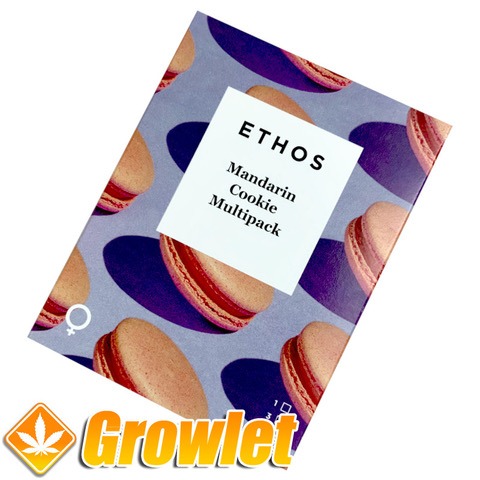 Mandarin Cookie Multipack de Ethos Genetics