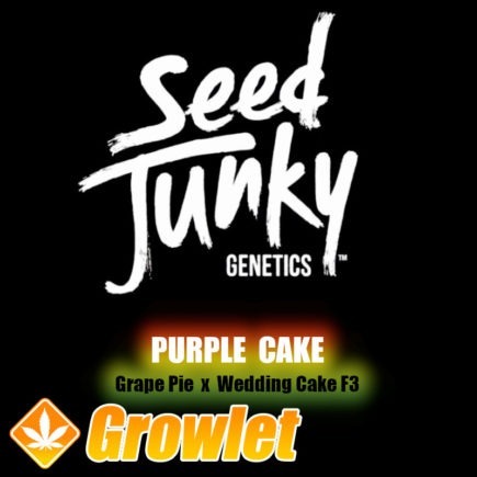 Purple Cake de Seed Junky Genetics
