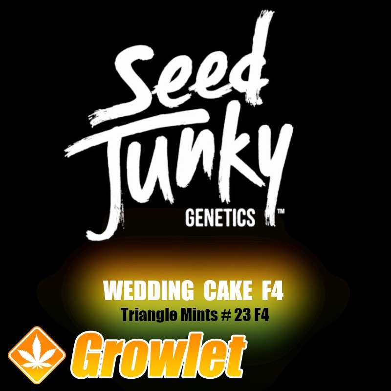 Wedding Cake F4 de Seed Junky Genetics