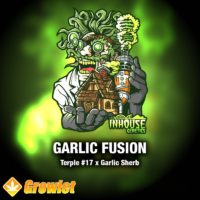 Garlic Fusion by In House Genetics