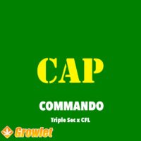 Commando de Capulator feminized seeds
