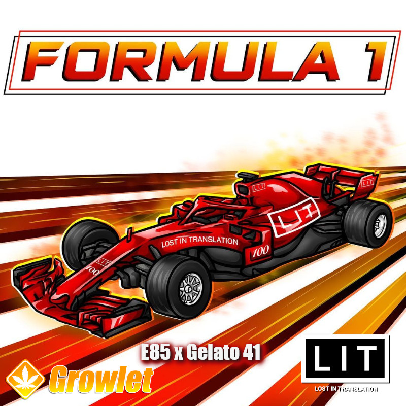 Formula 1 de LIT Farms