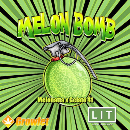 Melon Bomb de LIT Farms