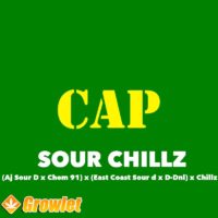 Sour Chillz from Capulator regular seeds