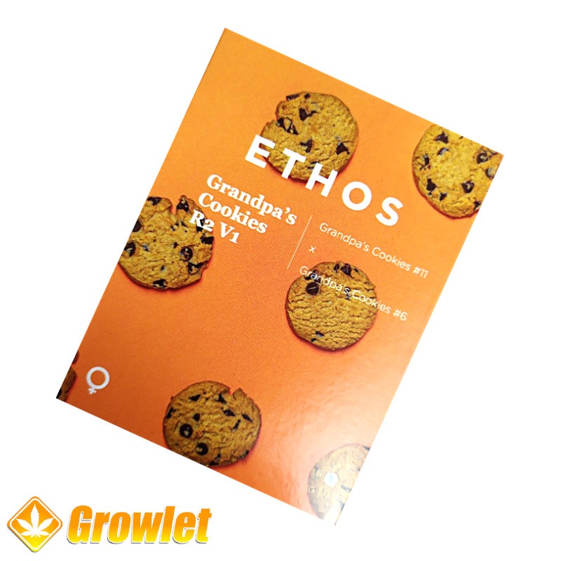 Grandpa´s Cookies R2 V1 *OLD PACK* de Ethos Genetics semillas feminizadas