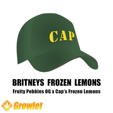 Britneys Frozen Lemons de Capulator semillas regulares