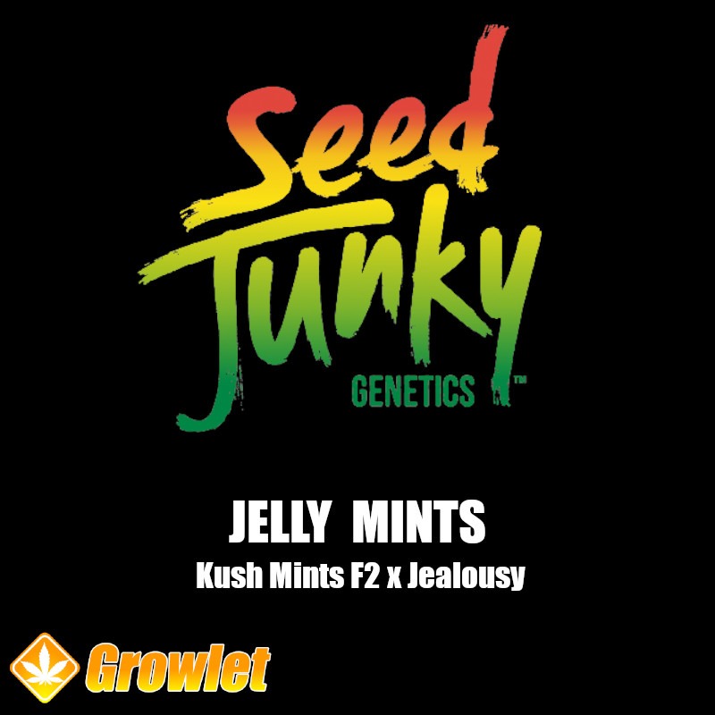 Jelly Mints de Seed Junky Genetics semillas regulares
