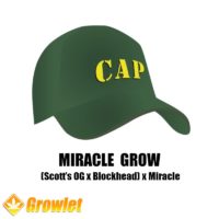 Miracle Grow from Capulator regular seeds