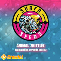 Animal Zkittlez by Surfr Seeds regular seeds