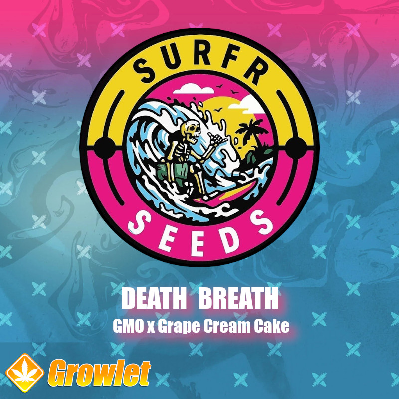 Death Breath de Surfr Seeds semillas regulares