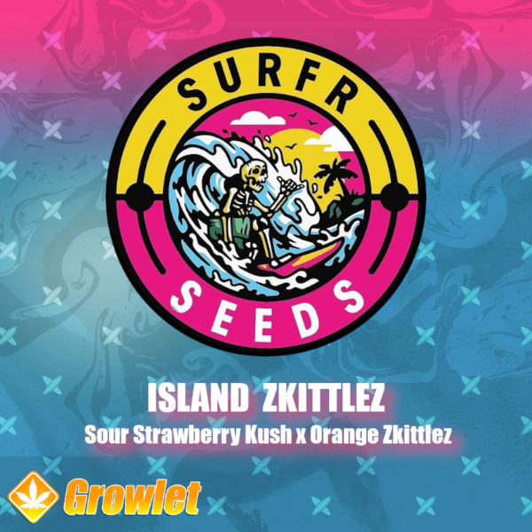 Island Zkittlez de Surfr Seeds semillas regulares