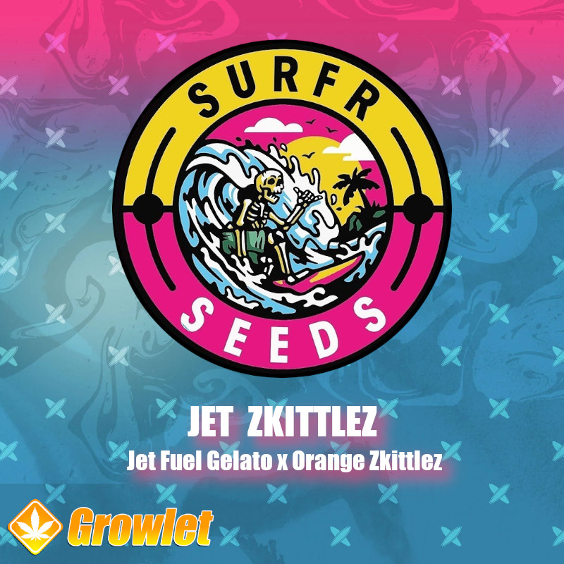 Jet Zkittlez de Surfr Seeds semillas regulares