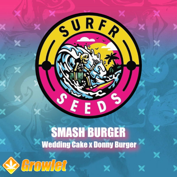Smash Burger de Surfr Seeds semillas regulares