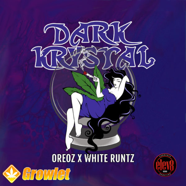 Dark Krystal de Elev8