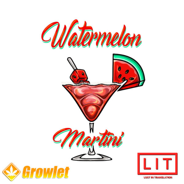Watermelon Martini de LIT Farms