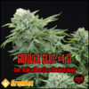 Gorilla Glue #4 S1 de Elev8