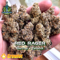 Red Rager by Exotic Genetix