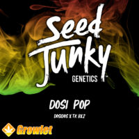Dosi Pop de Seed Junky Genetics