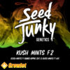 Kush Mints F2 de Seed Junky Genetics