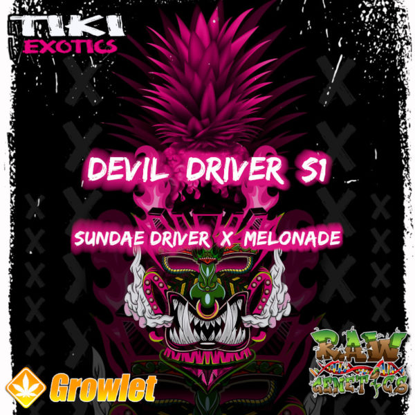 Devil Driver S1 de Raw Genetics semillas regulares