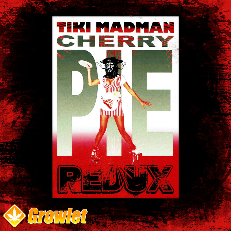 Cherry Pie Redux de Tiki Madman semillas regulares