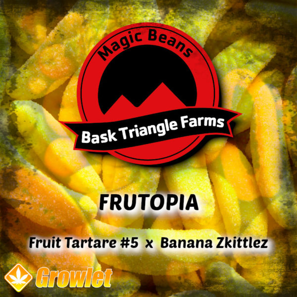 Frutopia de Bask Triangle Farms semillas regulares