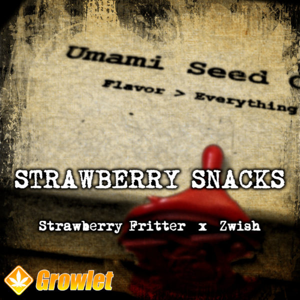 Strawberry Snacks de Umami Seed Co semillas feminizadas