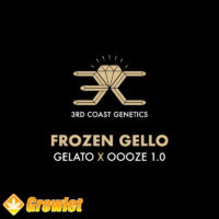 Frozen Gello de 3rd Coast Genetics semillas feminizadas