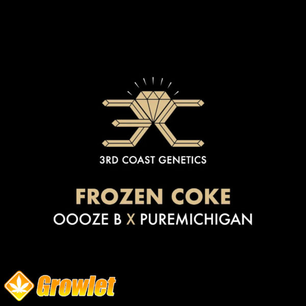 Frozen Coke de 3rd Coast Genetics semillas regulares