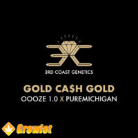 Gold Cash Gold de 3rd Coast Genetics semillas regulares