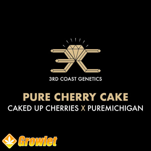 Pure Cherry Cake by 3rd Coast Genetics regular seeds