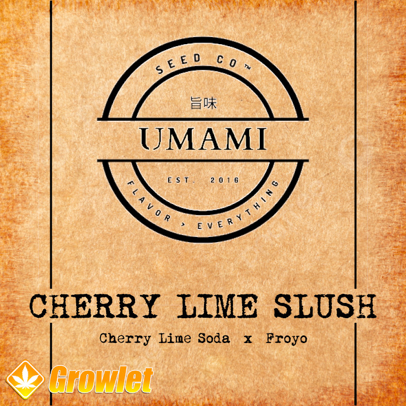 Cherry Lime Slush de Umami Seed Co semillas feminizadas