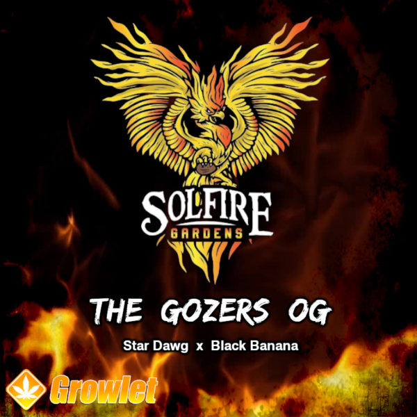 The Gozer OG de Solfire Gardens semillas regulares