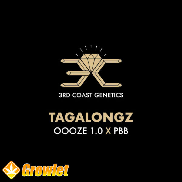 Tagalongz from 3rd Coast Genetics regular seeds