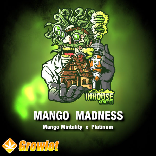 Mango Madness by In House Genetics feminized seeds