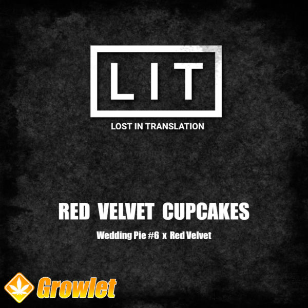 Red Velvet Cupcakes by LIT Farms feminized seeds