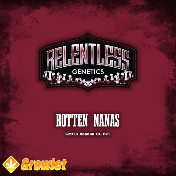 Rotten Nanas by Relentless Genetics regular seeds
