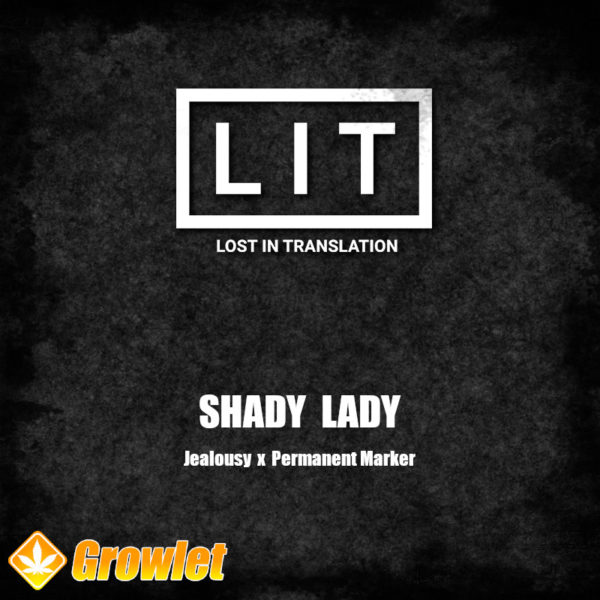 Shady Lady de LIT Farms semillas feminizadas