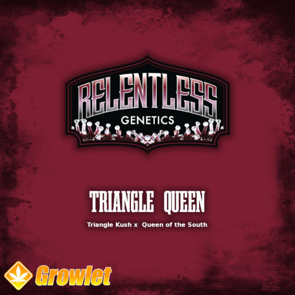 Triangle Queen de Relentless Genetics semillas regulares