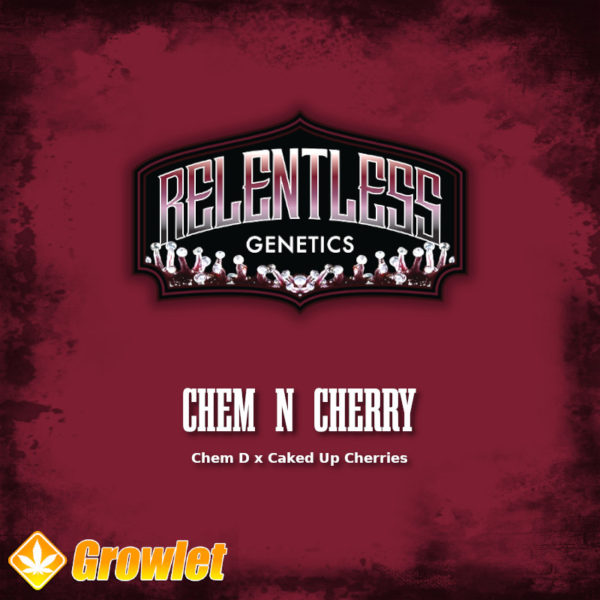 Chem N Cherry de Relentless Genetics semillas regulares