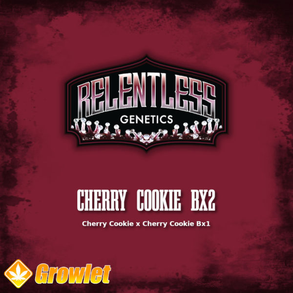 Cherry Cookie BX2 de Relentless Genetics semillas regulares