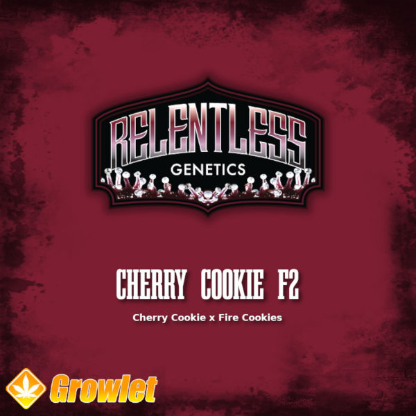 Cherry Cookie F2 de Relentless Genetics semillas regulares