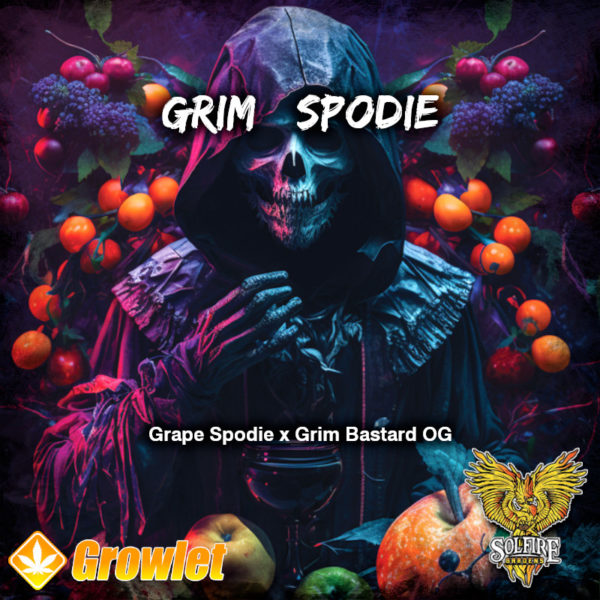 Grim Spodie de Solfire Gardens semillas regulares