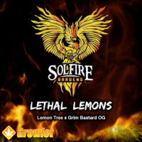 Lethal Lemons de Solfire Gardens semillas regulares