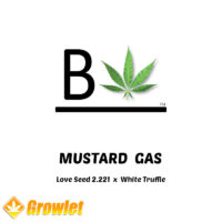 Mustard Gas de BeLeaf Seeds semillas feminizadas