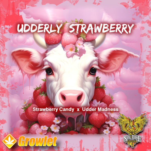 Udderly Strawberry by Solfire Gardens feminized seeds