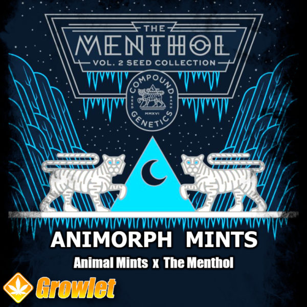 Animorph Mints by Compound Genetics feminized seeds