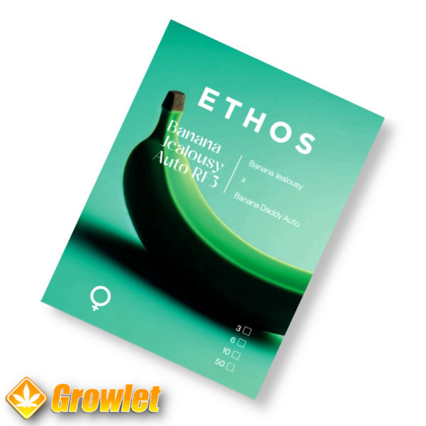 Banana Jealousy Auto RF3 by Ethos Genetics autoflowering seeds