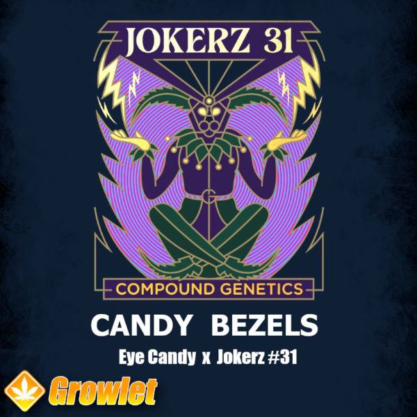 Candy Bezels by Compound Genetics feminized seeds
