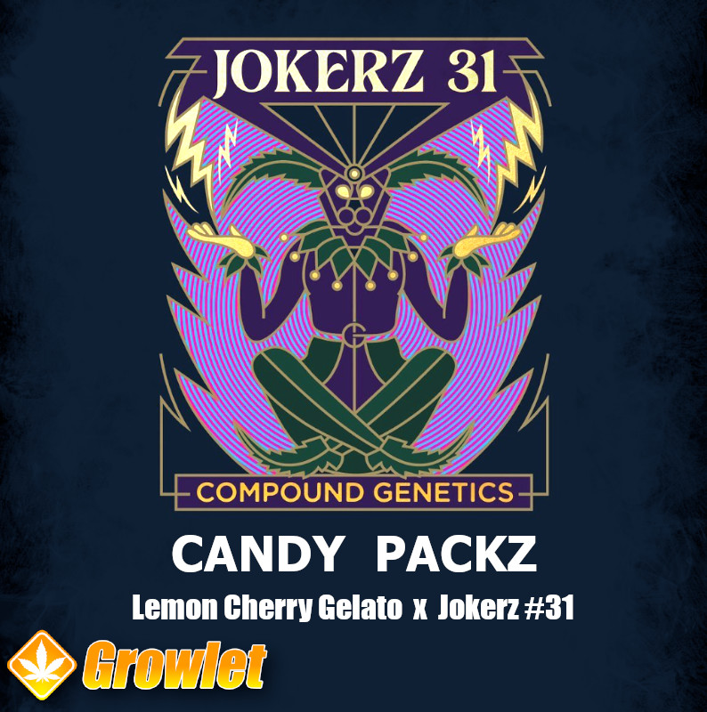 Candy Packz by Compound Genetics feminized seeds